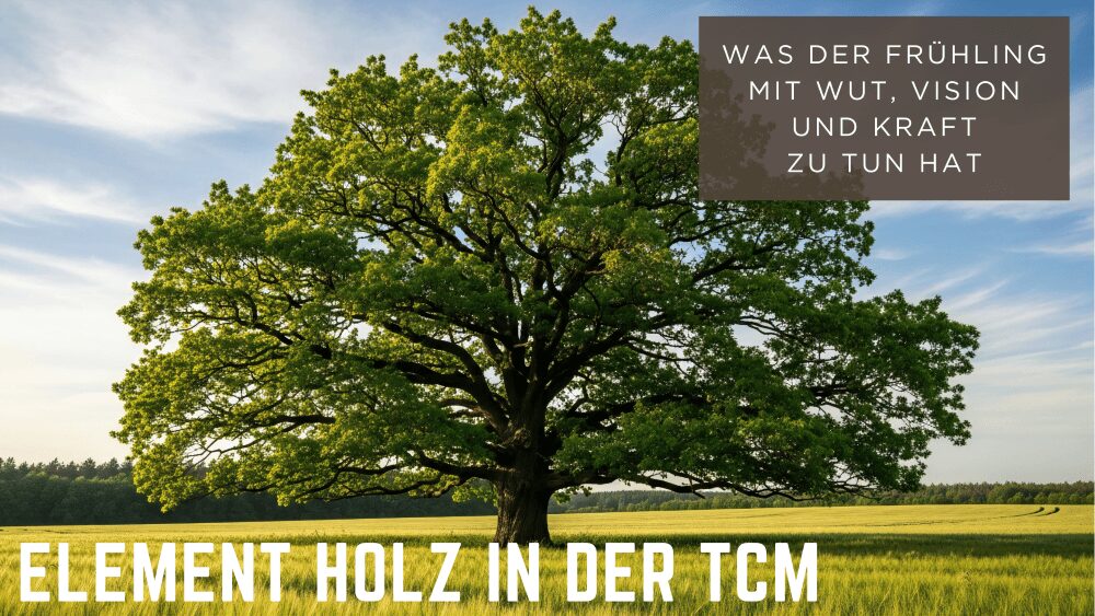 Energetik - schöner Baum der das Element Holz repräsentiert