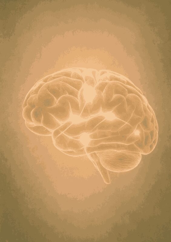 Gehirnbehandlung-TCM-Selbstheilung-Fernbehandlung-Energetik